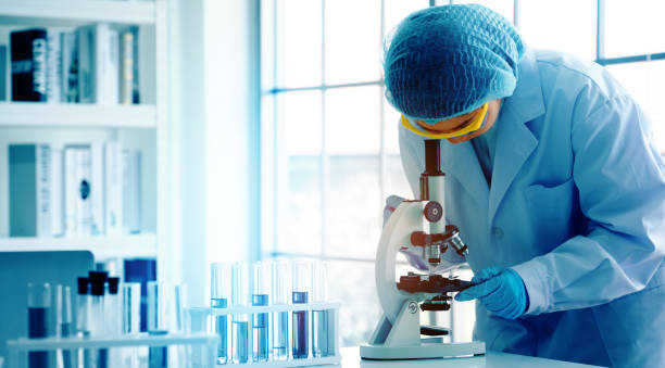 School of Life Science